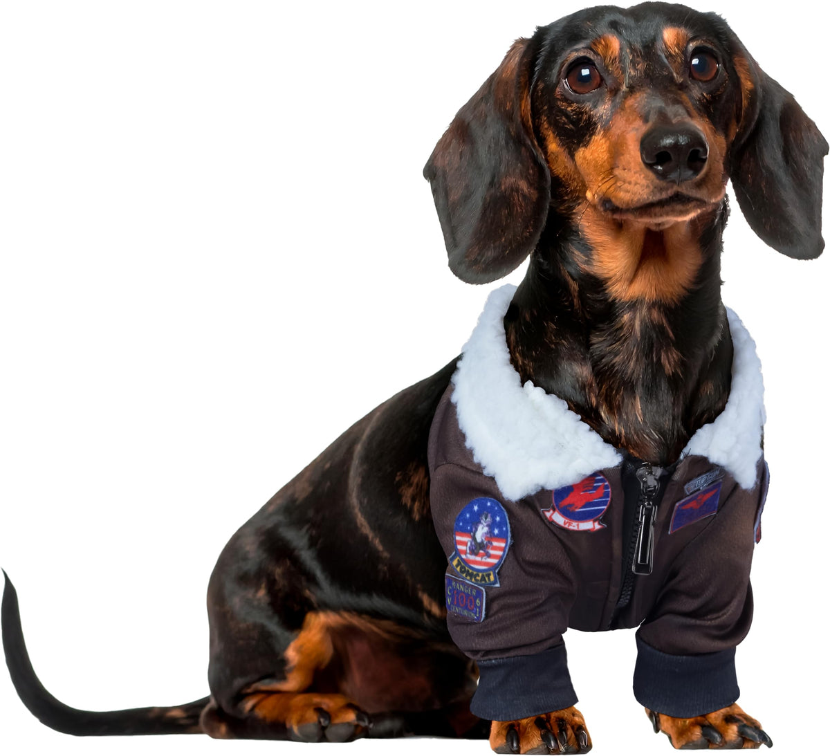 Rubies Top Gun Classic Movie Pet Costume, X-Large