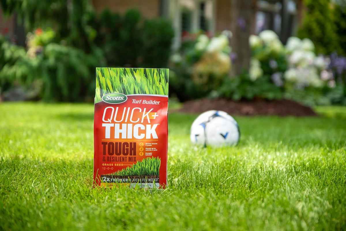 Scotts Turf Builder Quick + Thick Grass Seed Mix, 1.2kg