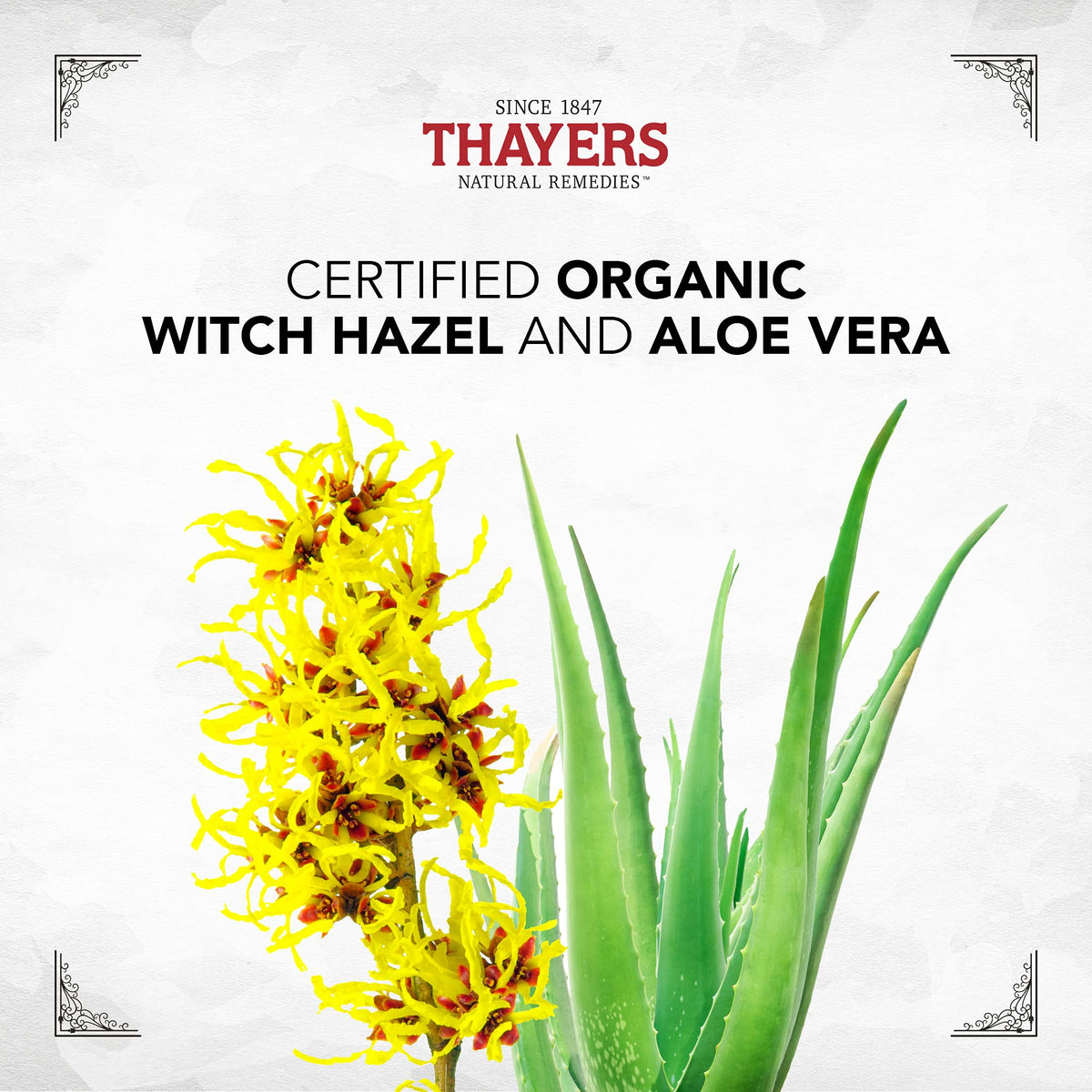 Thayers Alcohol-Free Witch Hazel Unscented Toner, 2 x 355mL
