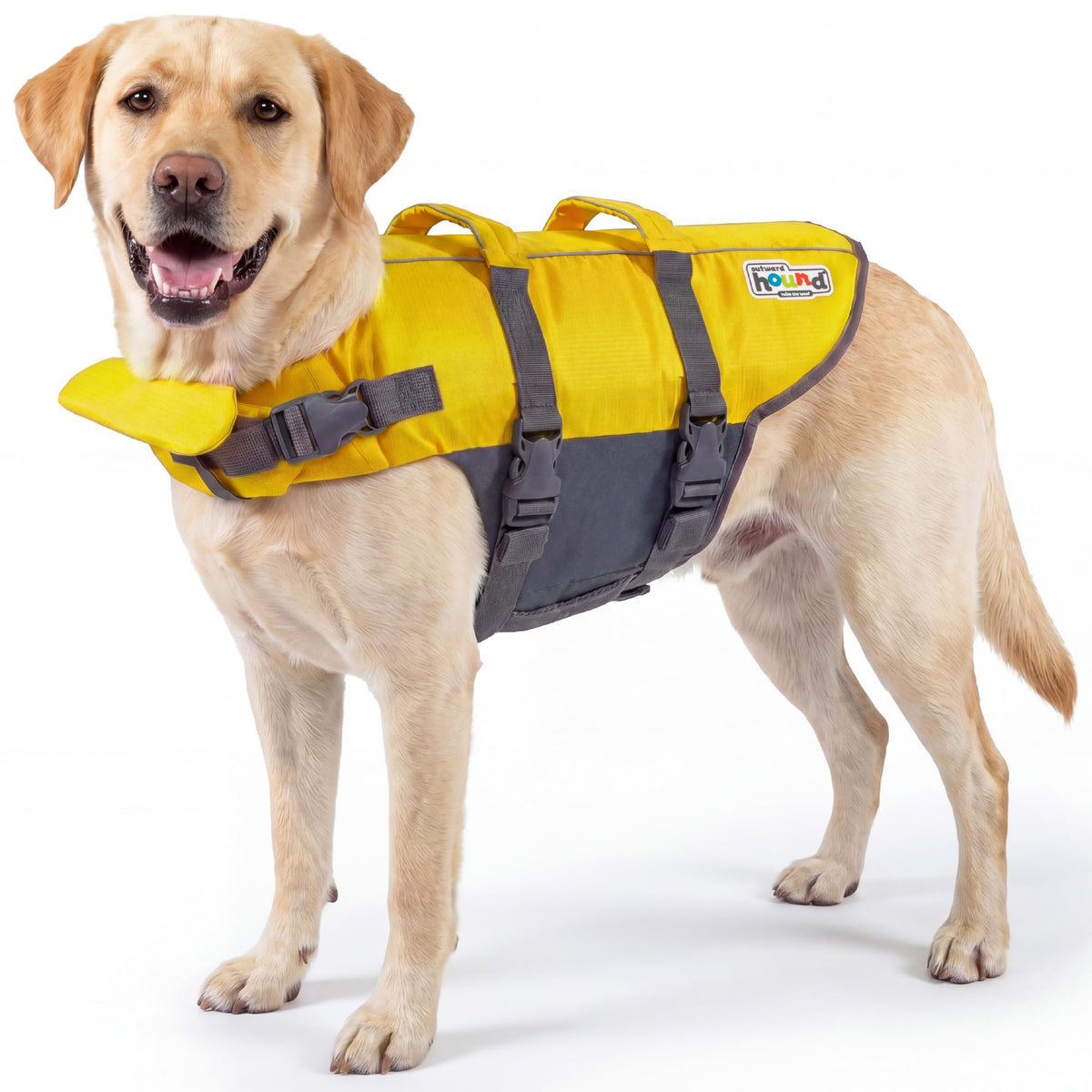 Outward Hound Granby Splash Dog Life Jacket, Large, Yellow