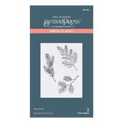 Evergreen Branches Press Plate from the BetterPress Christmas Collection