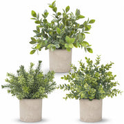 Der Rose 3-Pack Mini Potted Artificial Eucalyptus Plants