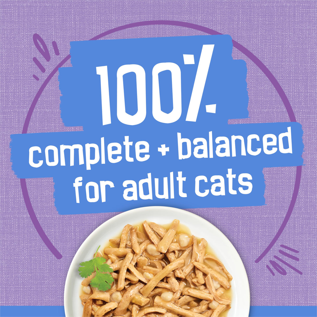 Friskies Shredded Wet Cat Food, Turkey & Cheese in Gravy, 156g x 24