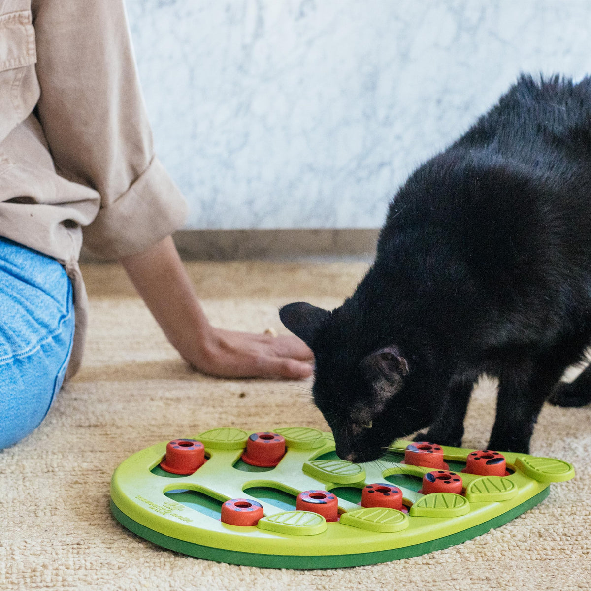 Catstages Buggin' Out Puzzle & Play Treat Puzzle Cat Toy, Green