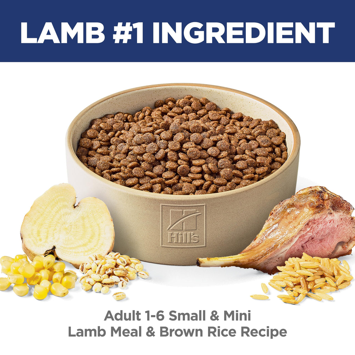 Hill's Science Diet Small & Mini Lamb & Brown Rice Dog Food, 2.04 kg