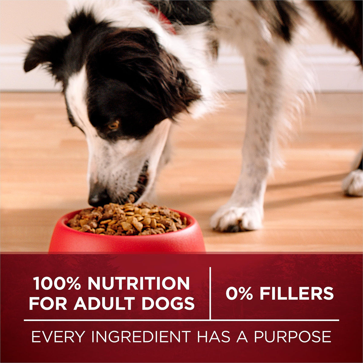 Purina ONE True Instinct Dry Dog Food, Beef & Salmon, 12.4 kg