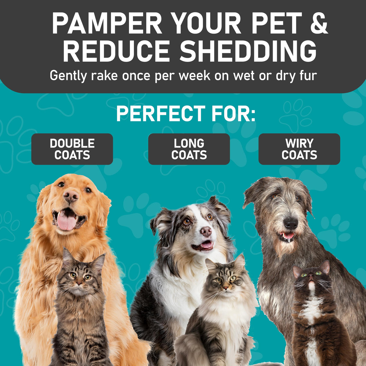 Maxpower Planet Double-Sided Pet Grooming Brush, Purple
