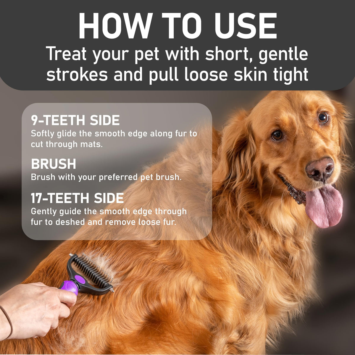 Maxpower Planet Double-Sided Pet Grooming Brush, Purple