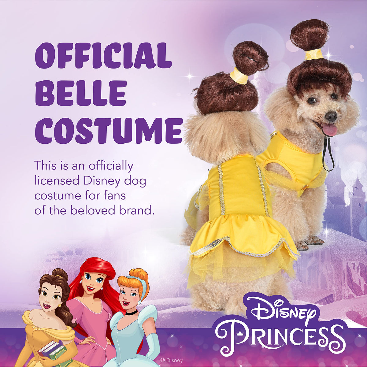 Disney: Halloween Disney Princess Belle Costume, Medium