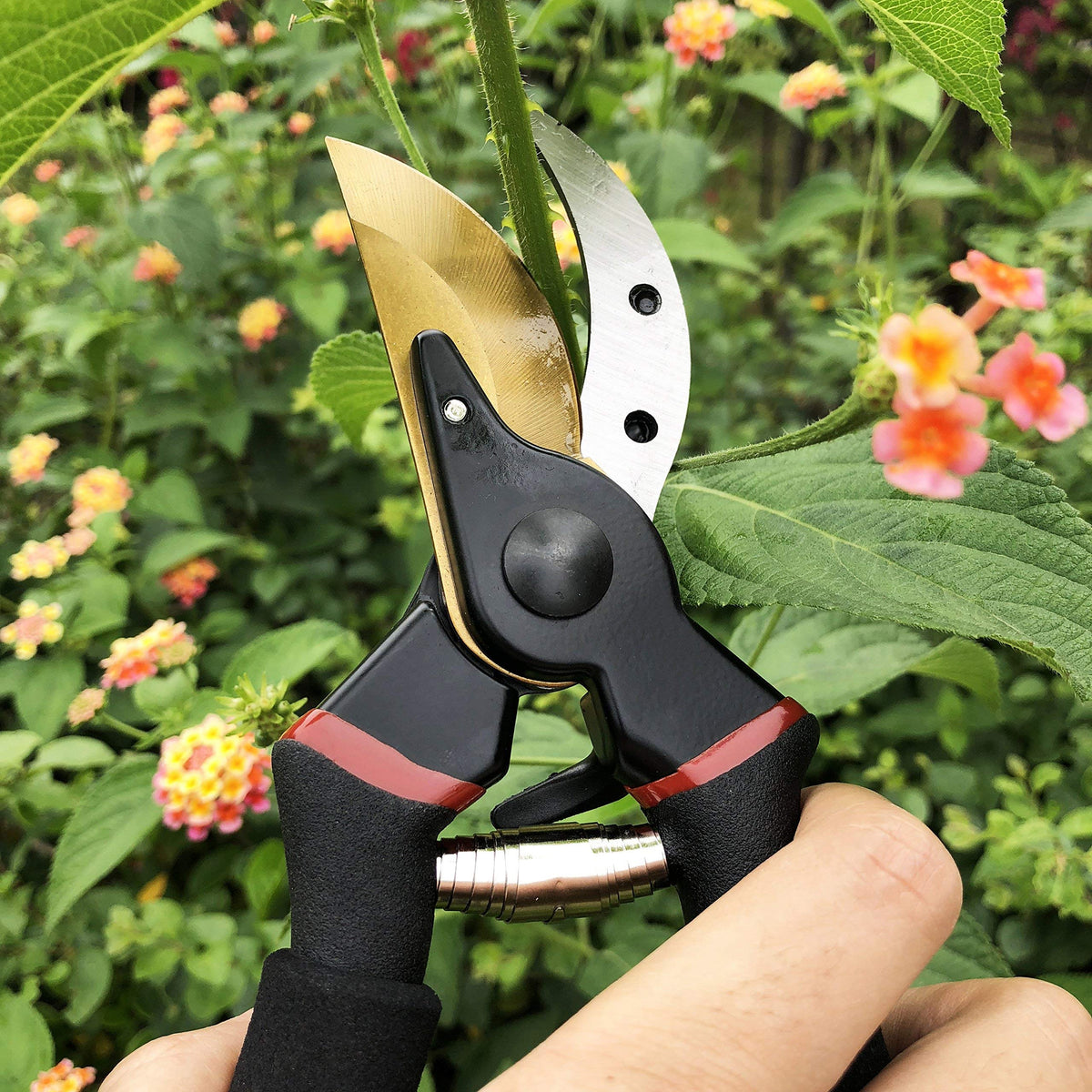 gonicc 8" Titanium Bypass Pruning Shears (GPPS-1003)