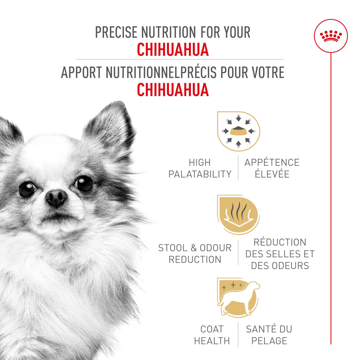 Royal Canin Chihuahua Adult Dry Dog Food, 10 lb