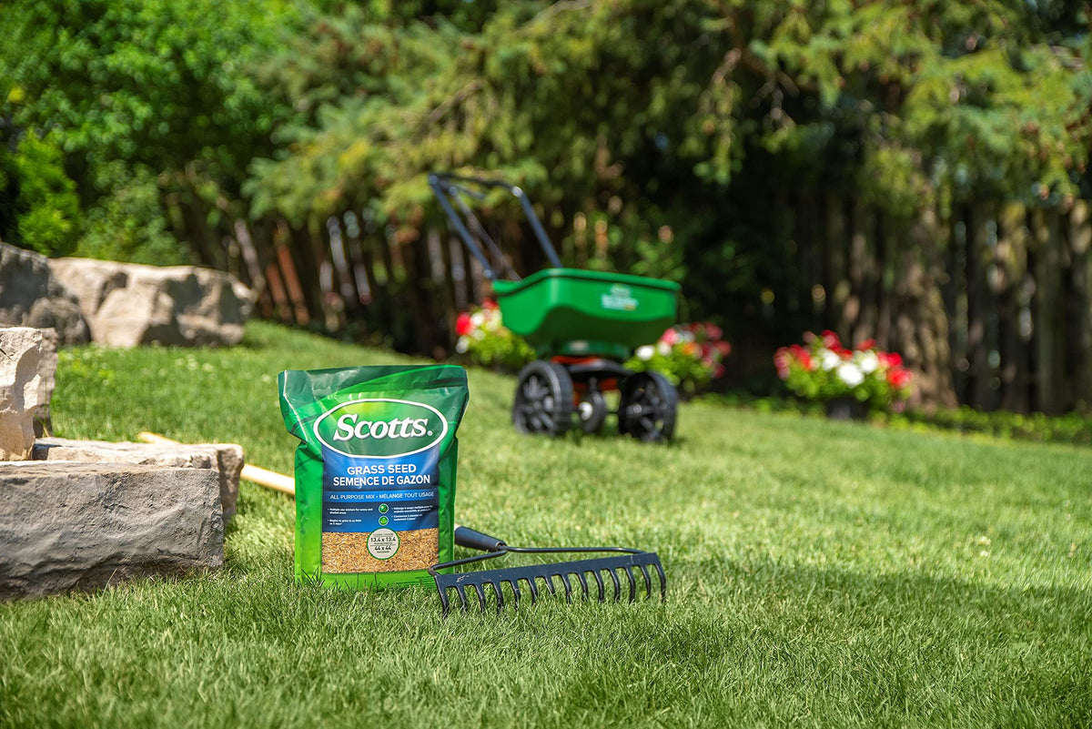 Scotts Grass Seed All Purpose Mix, 5 kg