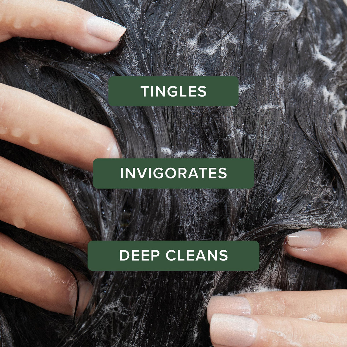 Tea Tree Special Shampoo for Oily Hair