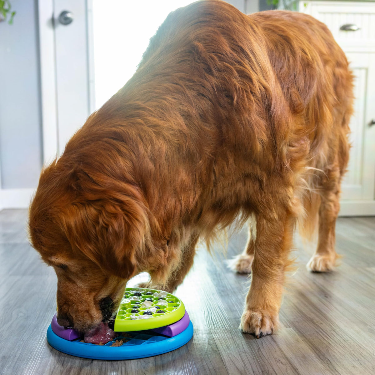 Outward Hound Nina Ottosson Lickin' Layers Dog Treat Puzzle, 10"