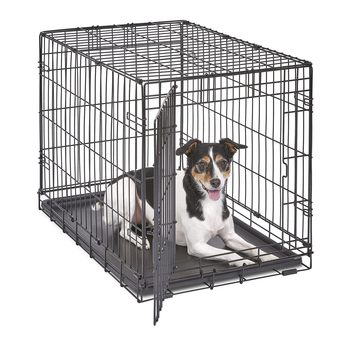 MidWest Homes for Pets 30-Inch New World Folding Dog Crate, 21-40 lbs