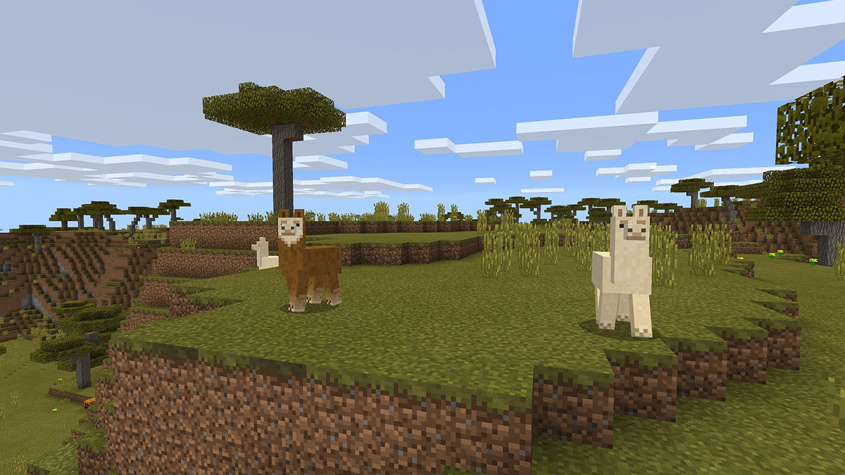 Minecraft, Nintendo Switch, Physical Edition