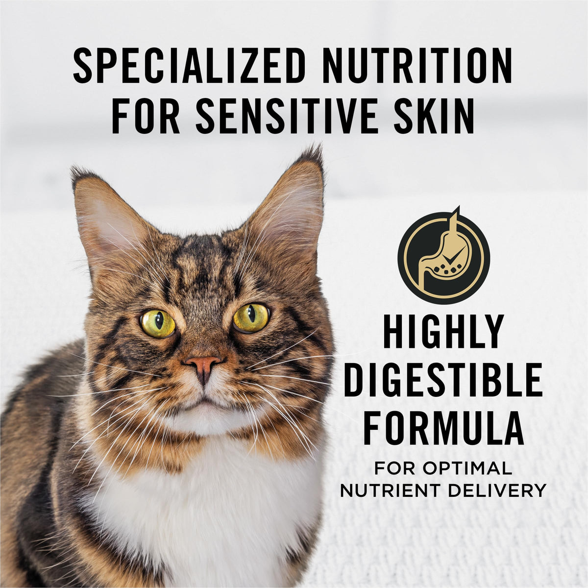 Purina Pro Plan Focus Sensitive Skin & Stomach Cat Food, 5.5 lb