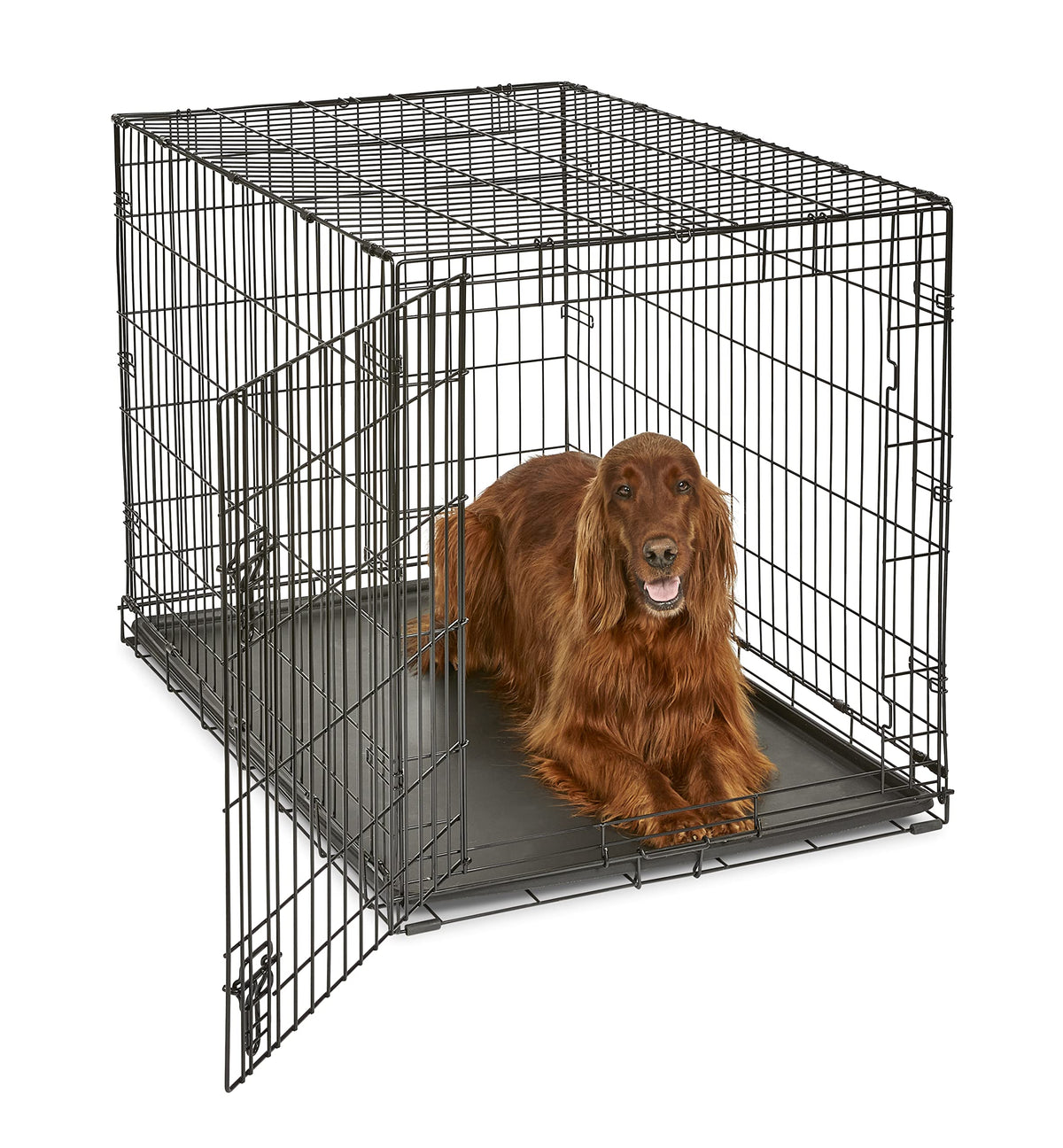 MidWest Homes for Pets 42-Inch New World Folding Dog Crate, 71-90 lbs
