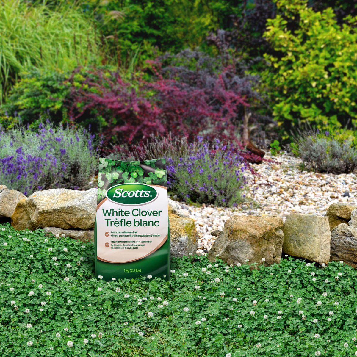 Scotts White Clover Lawn Seed, 1 kg