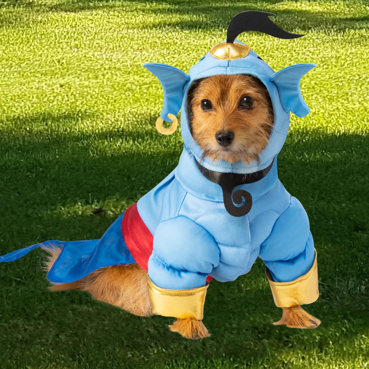 Rubies Disney Aladdin Genie Pet Costume, X-Large