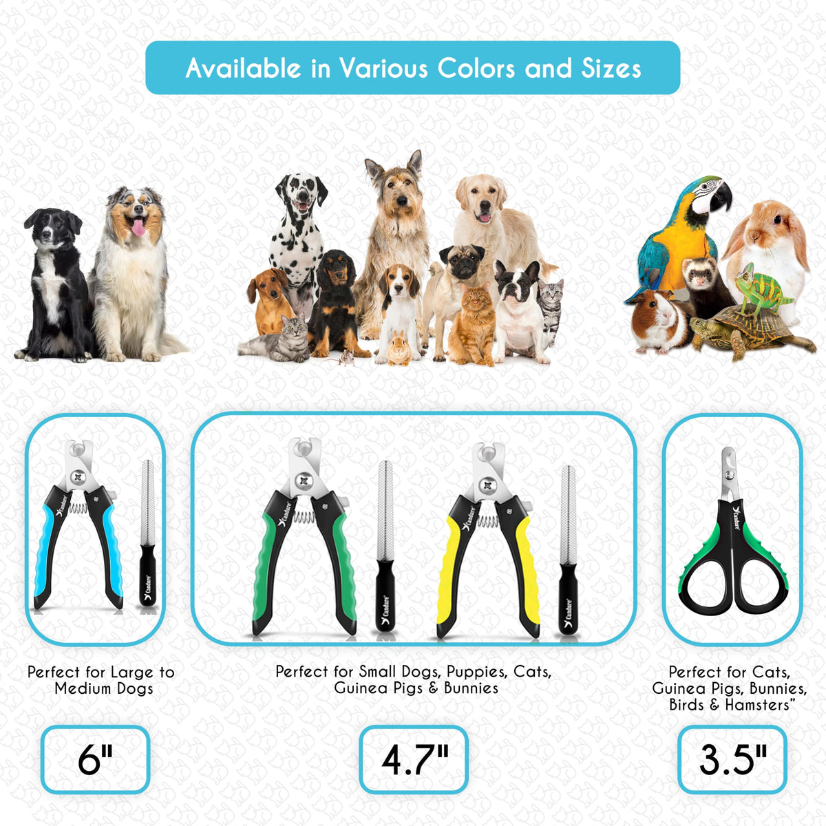 Candure Stainless Steel Pet Nail Clippers, Light Blue