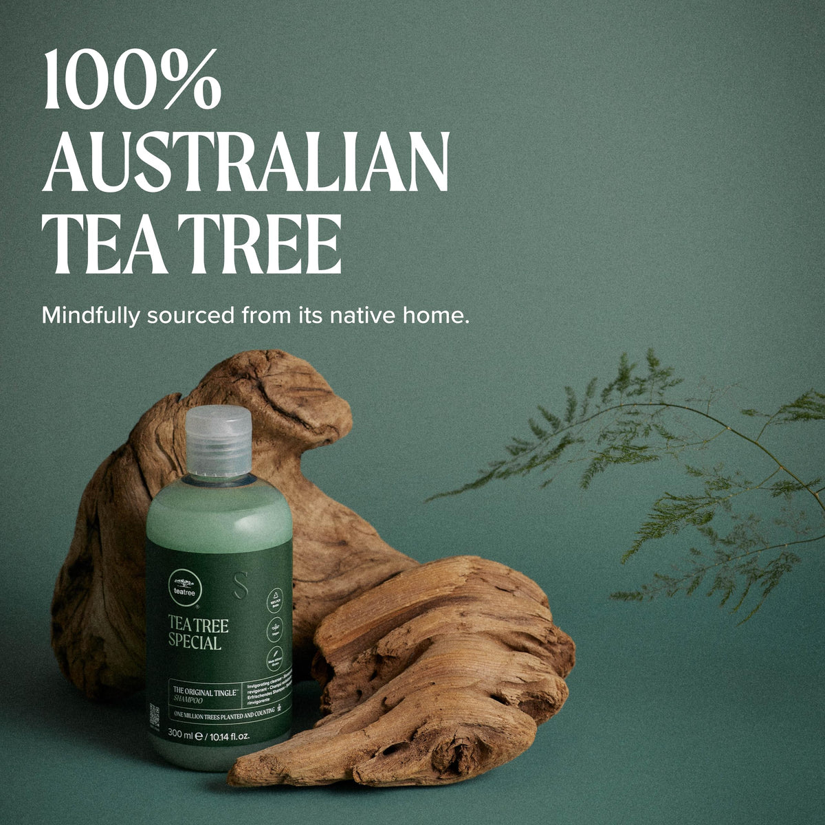 Tea Tree Special Shampoo for Oily Hair