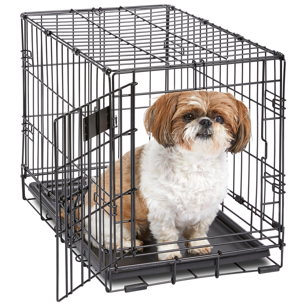 MidWest Homes for Pets iCrate Folding Dog Crate, 22 Inch
