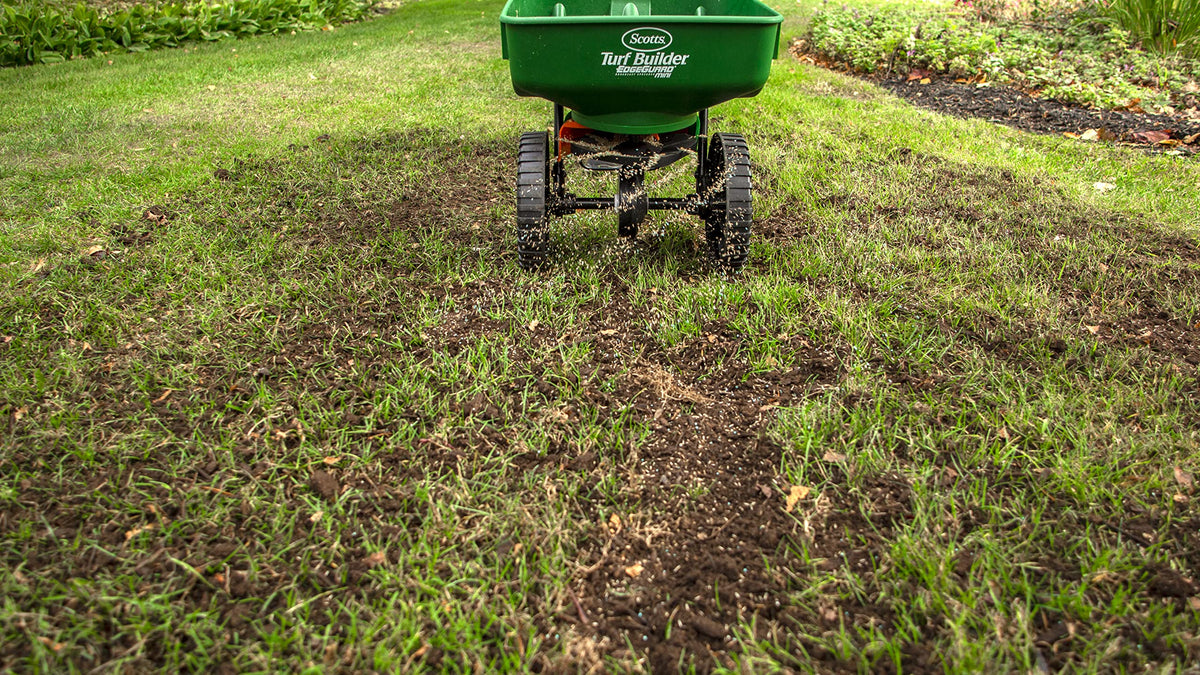 Scotts Turf Builder Quick + Thick Grass Seed, Sun and Shade, 1.2 kg