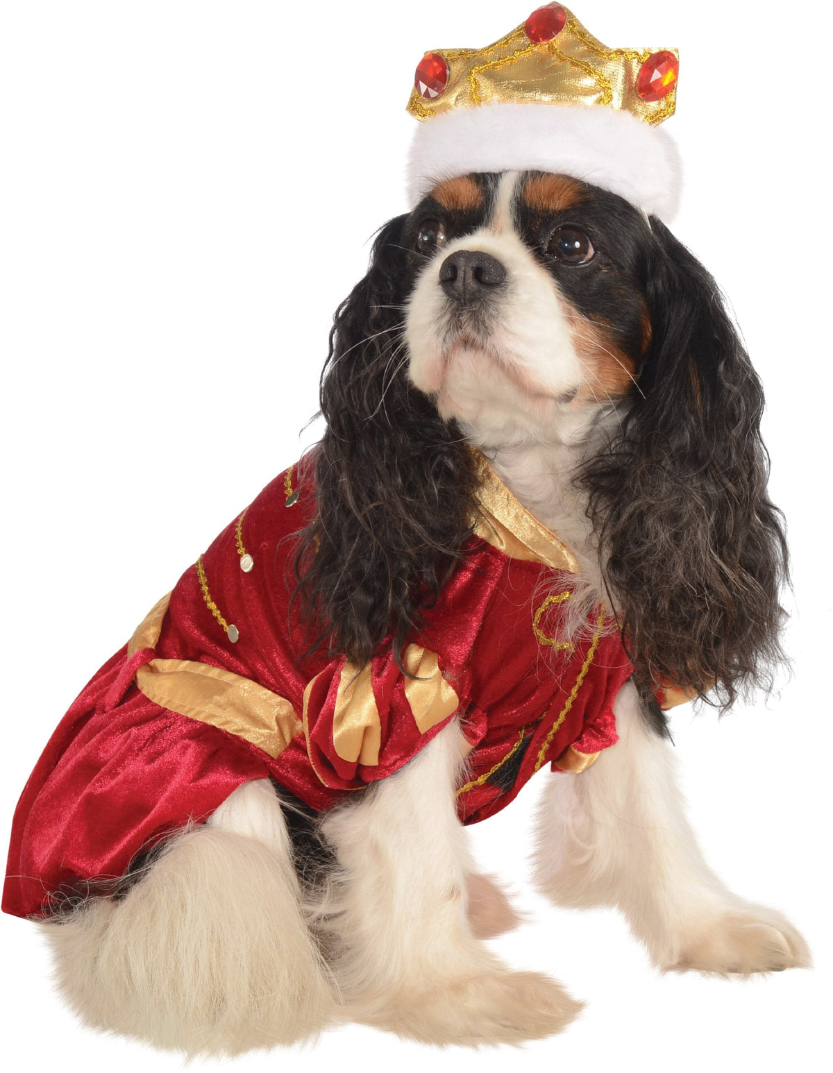 Rubies Halloween Classics Pet Costume, Large, Red King