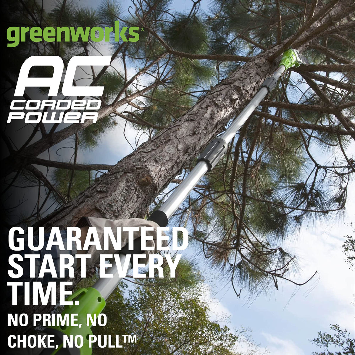 Greenworks 20192 8.5-Inch 6.5 Amp Electric Corded Pole Saw