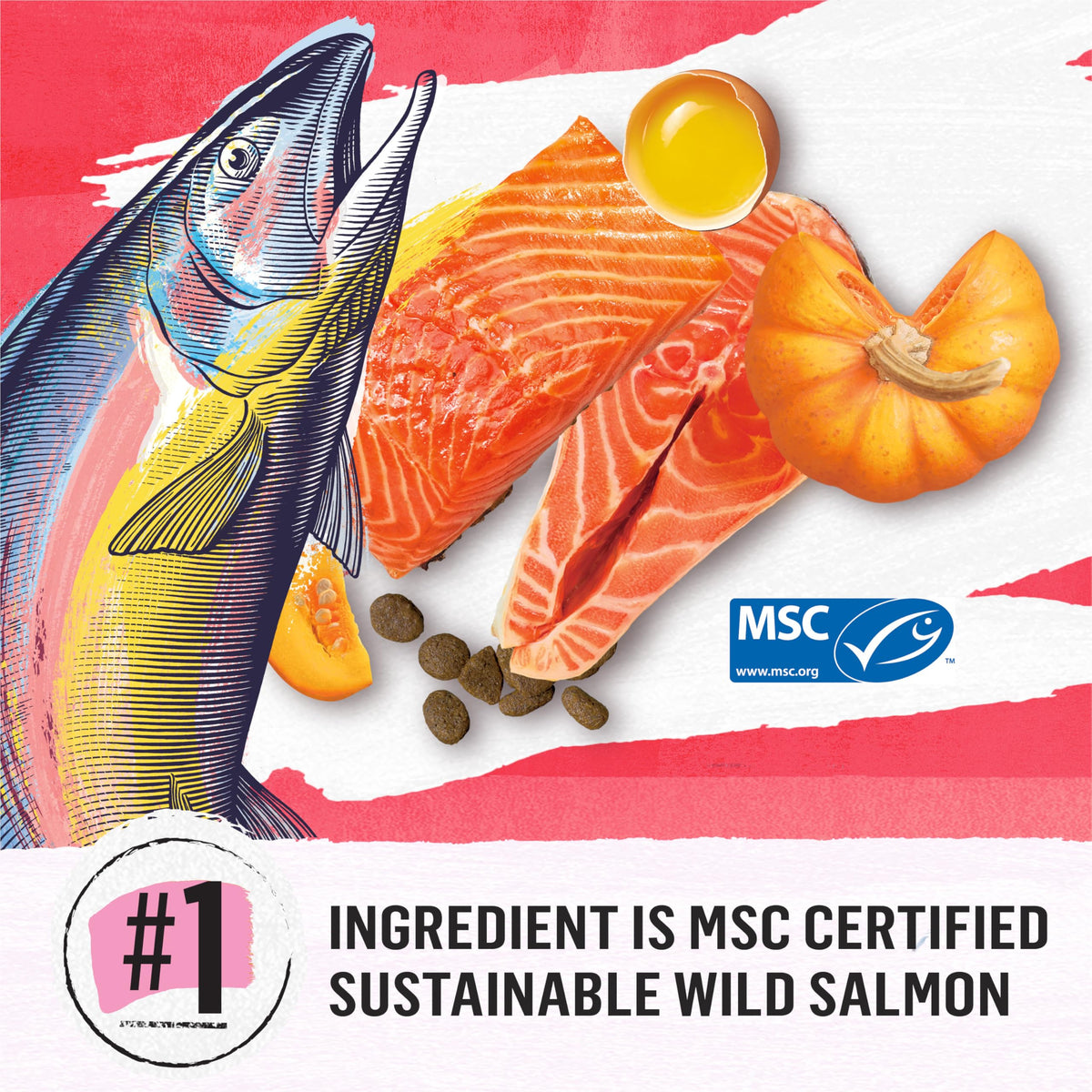 Beyond Superfood Blend Dry Dog Food, Salmon, Egg & Pumpkin, 5 kg
