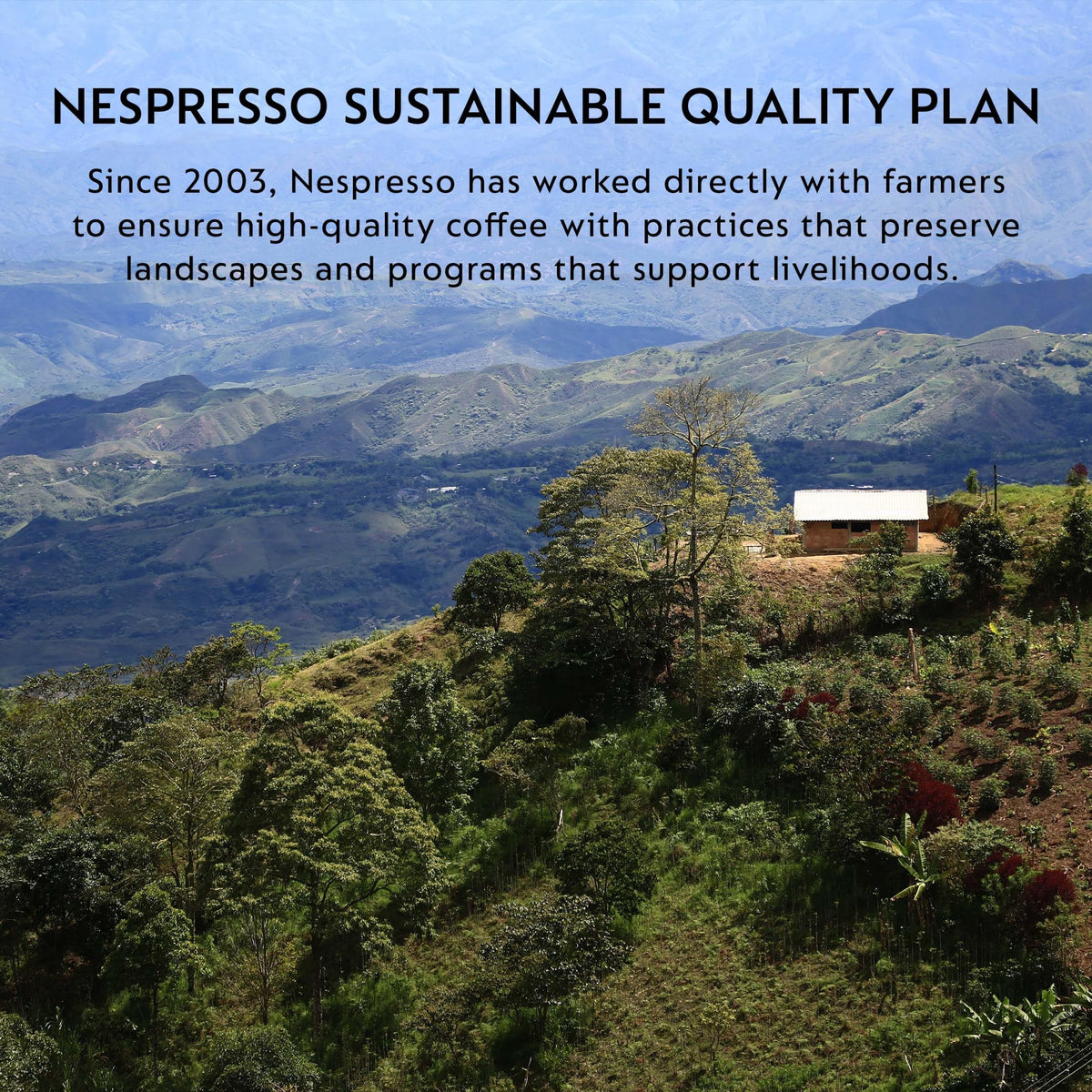 Nespresso Original Ristretto Dark Roast Pods, Intensity 10, 50 Pods