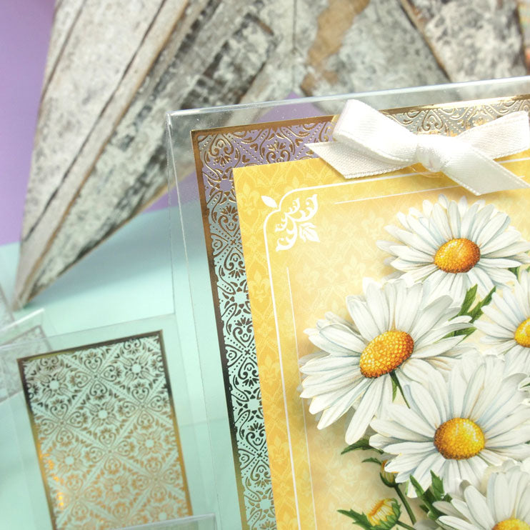 Foiled Pattern Acetate Stepper Cards