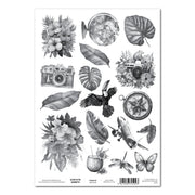 3Quarter Designs A4 Acetate - Tropic