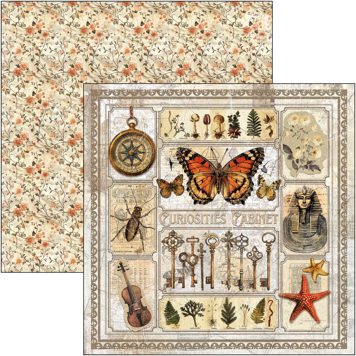 Cabinet Of Curiosities Paper Pad 12"x12" 12/Pkg