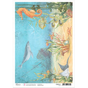 Ciao Bella Rice Paper A4 The Shipwreck