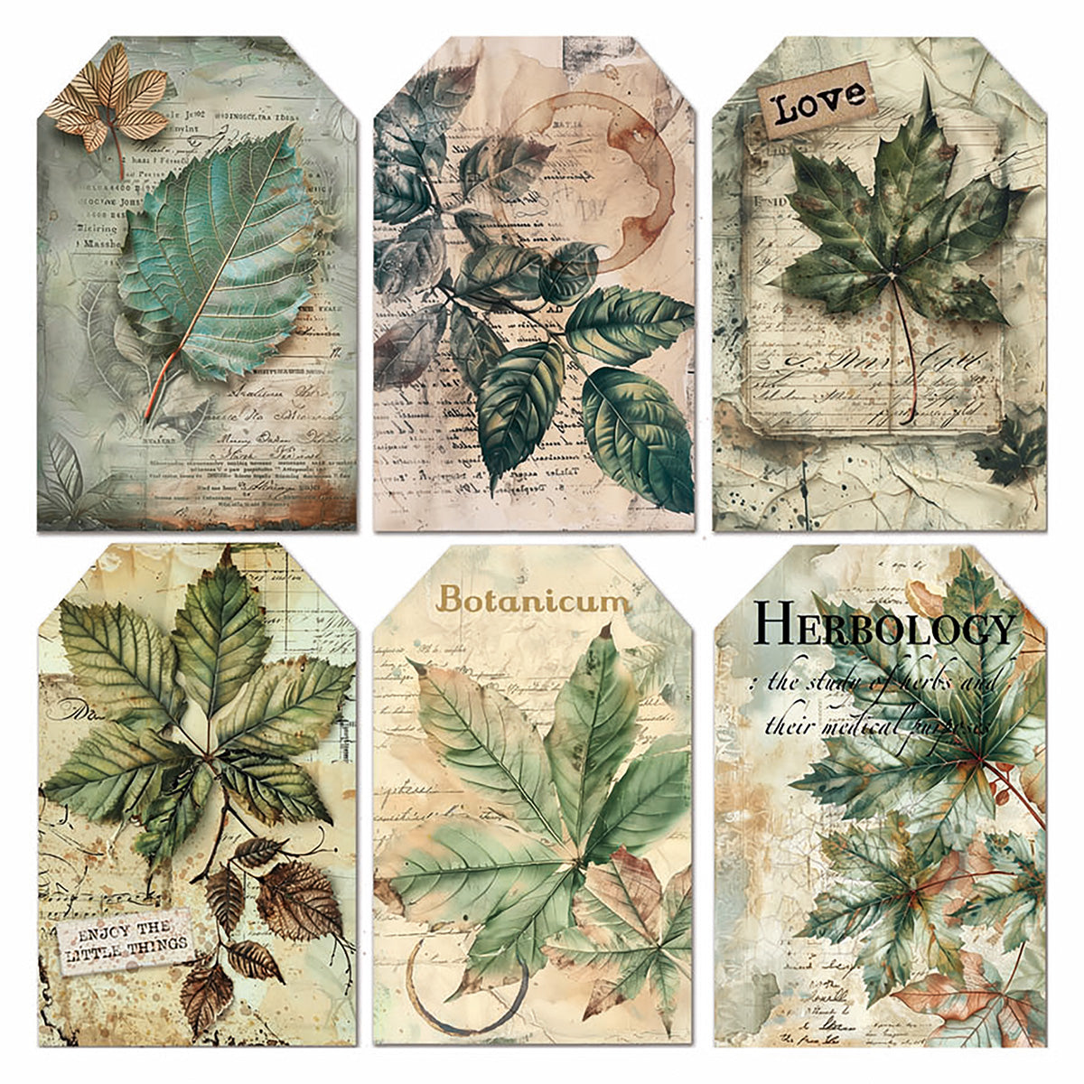 Vellum Cabinet Of Curiosities Fussy Cut 6"x6" 6/Pkg