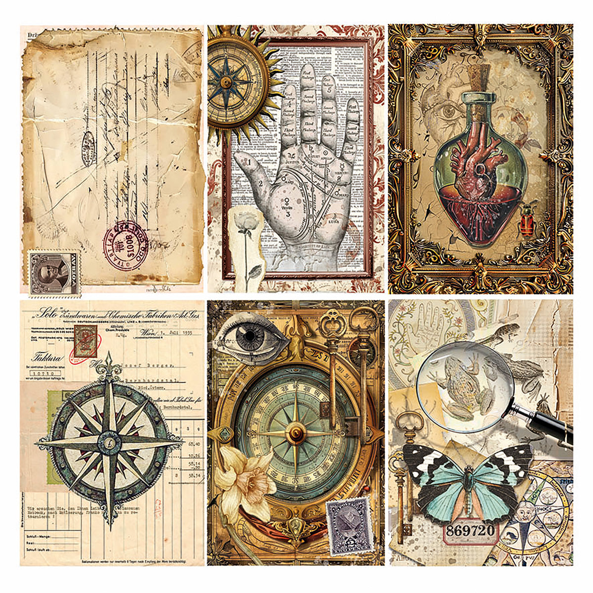 Vellum Cabinet Of Curiosities Fussy Cut 6"x6" 6/Pkg