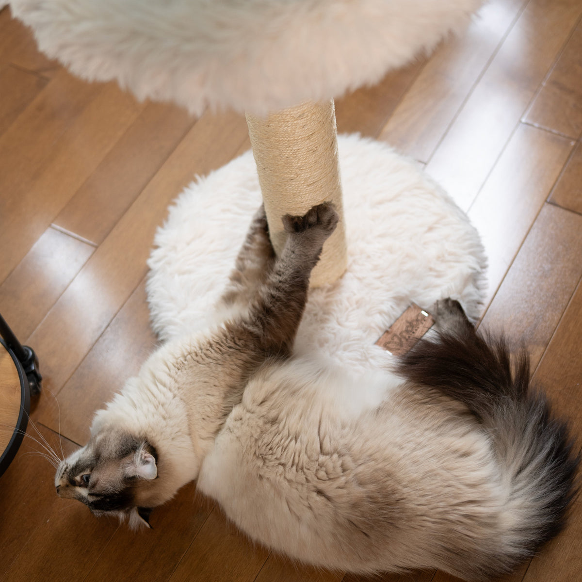 Noba Blush Perch 1-Level Cat Tree