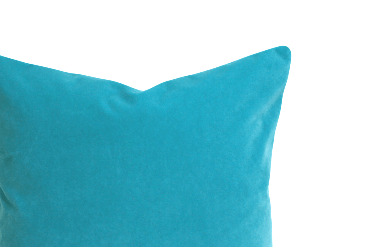 Canadian Down & Feather Pool Velvet Cushion Cover