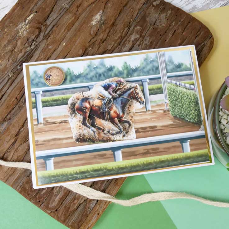 Good Sport Decoupage Topper Collection