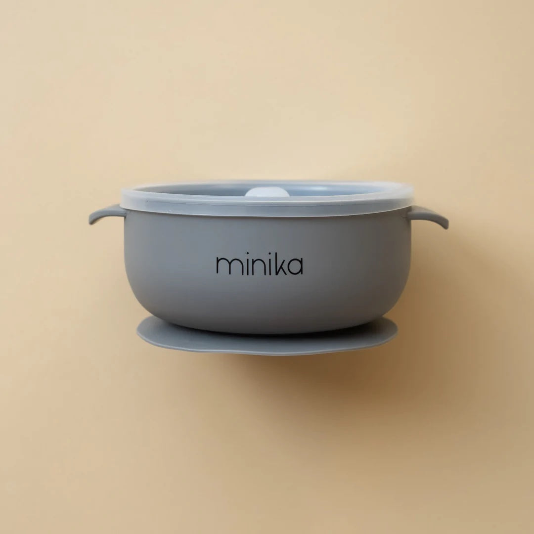 Silicone Bowl with Lid