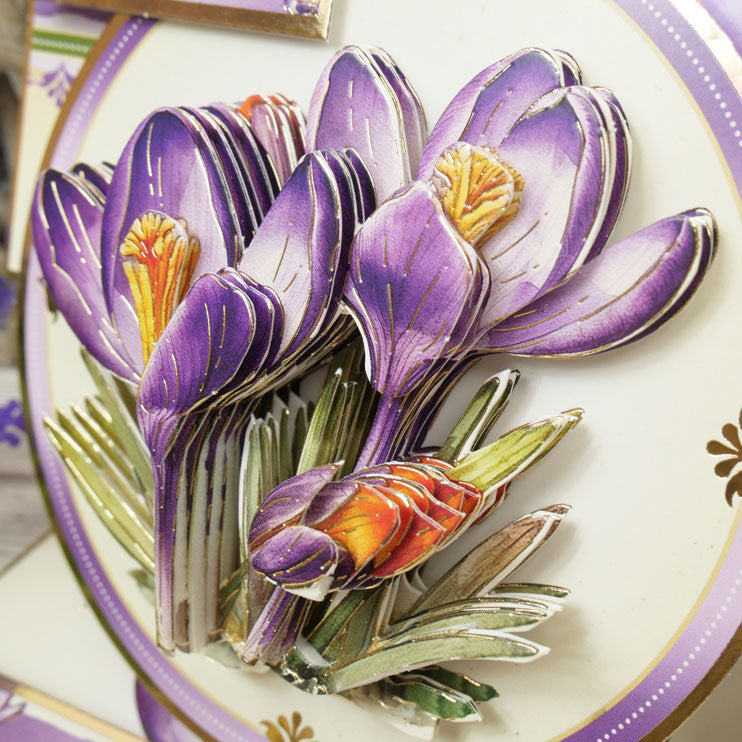 In Full Bloom - Floral Delights Designer Deco-Large Collection