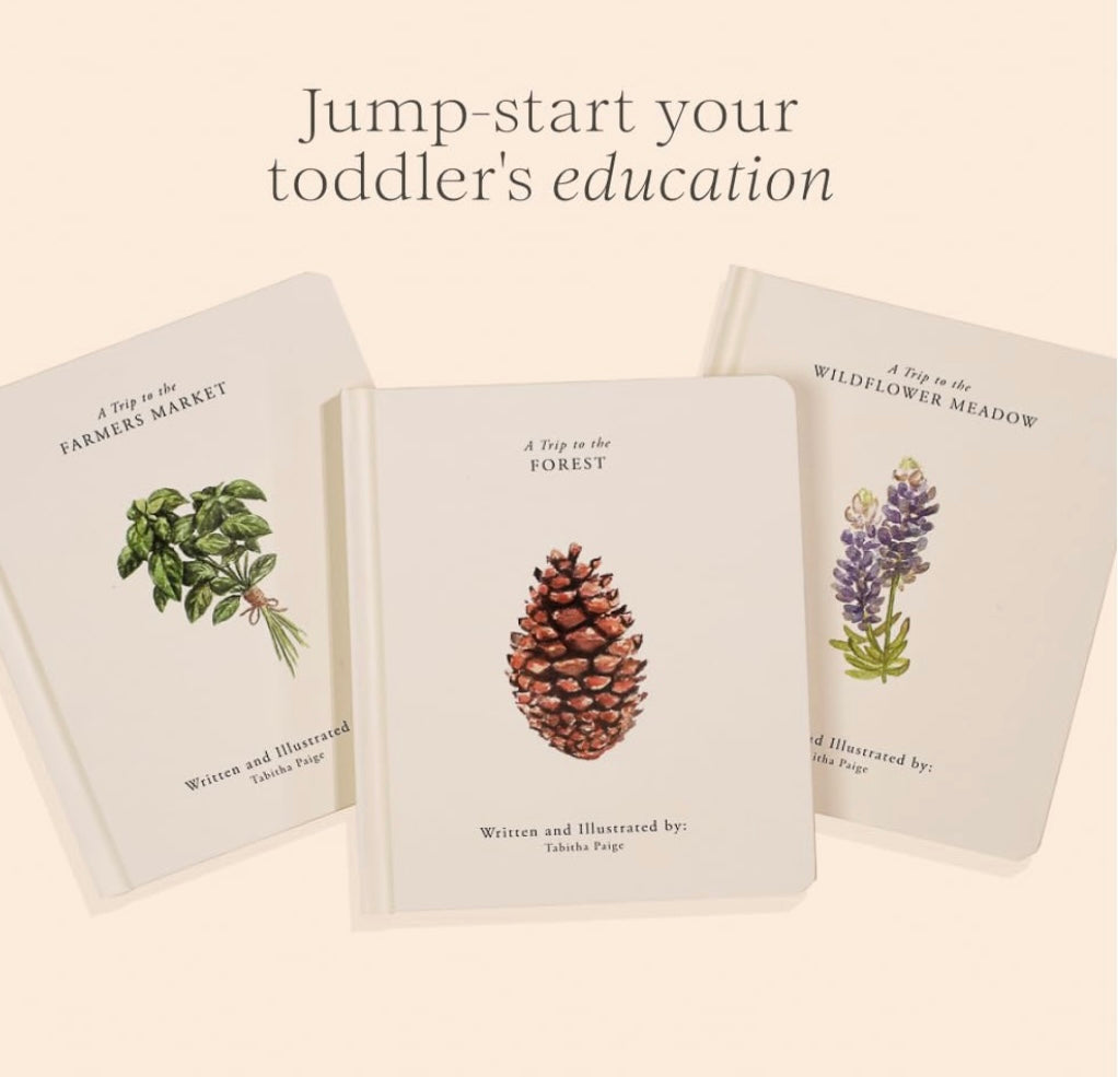 Our Little Adventures Board Book Set