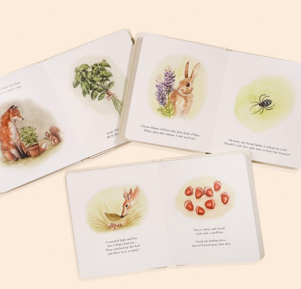 Our Little Adventures Board Book Set