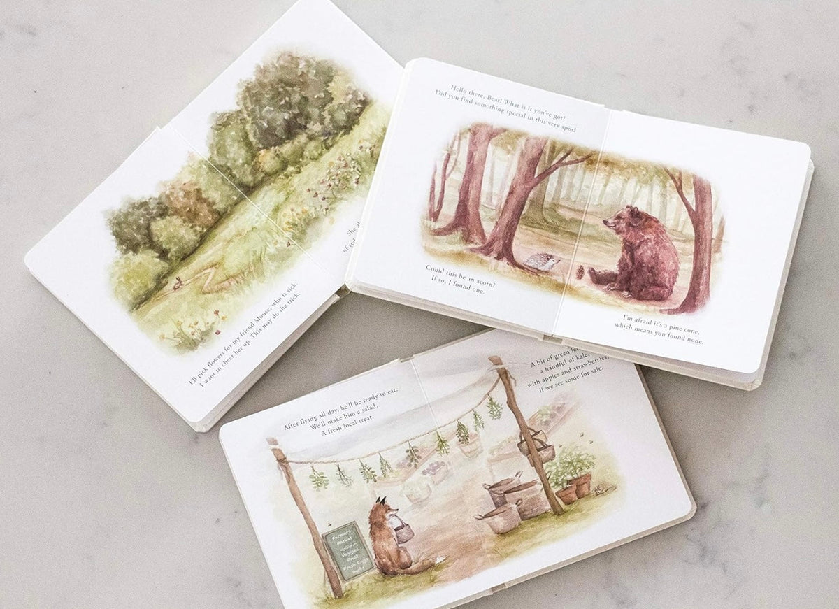 Our Little Adventures Board Book Set