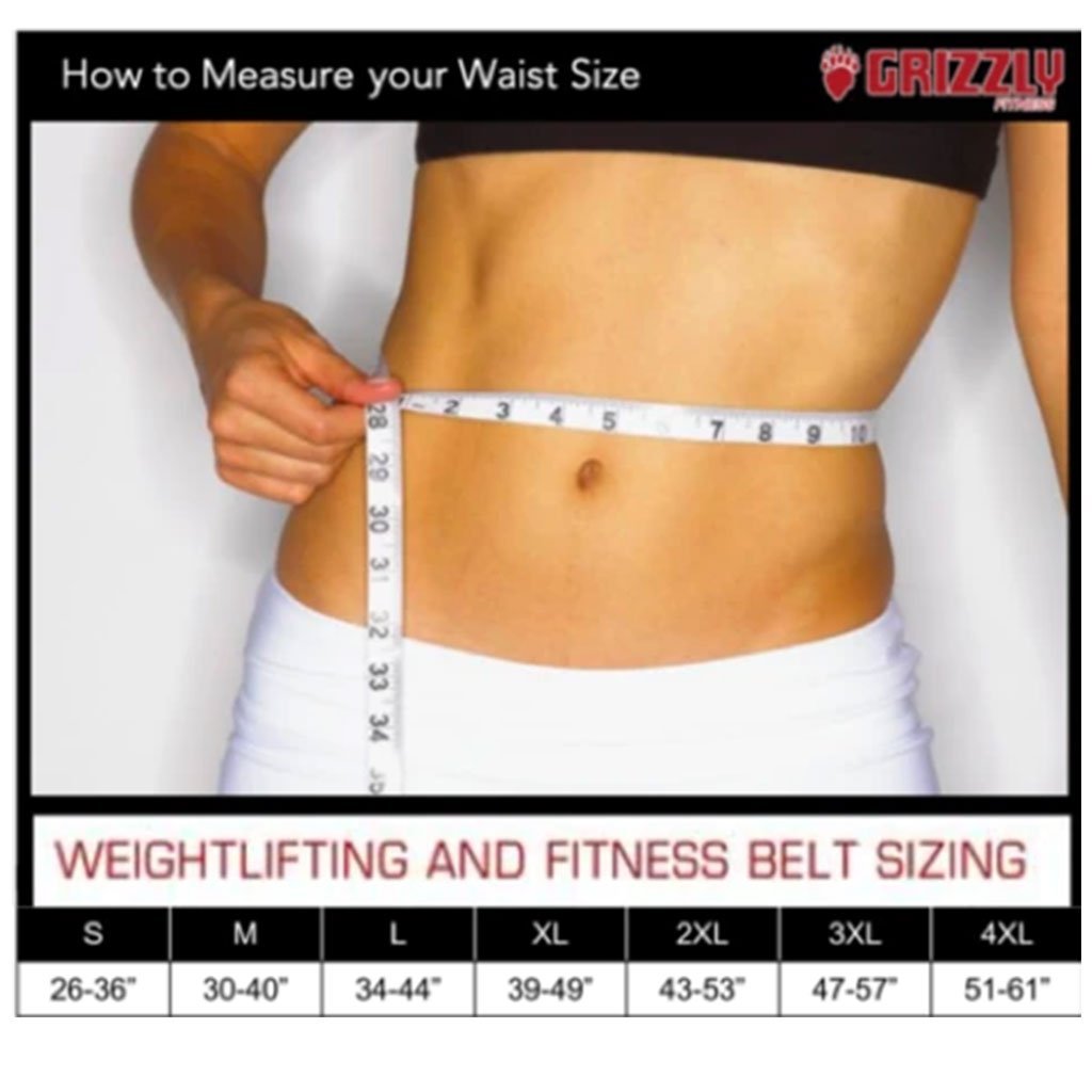 Grizzly 4 in Double Prong Competition Powerlifting Belt, 2XL