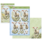 Spring is Here Deco-Large Set - A Boo-rilliant Birthday