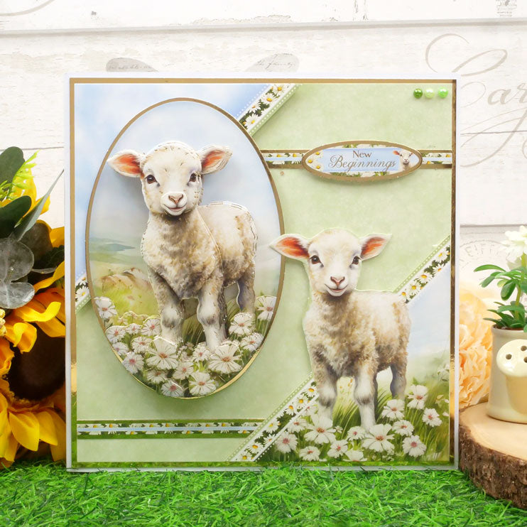 Spring is Here Designer Deco-Large Collection