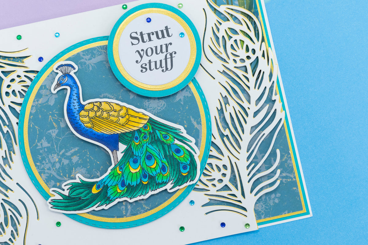 Graceful Plumes Clear Acrylic Stamp - Strut Your Stuff